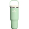 image:imageSTANLEY IceFlow 20 Flip Straw Tumbler with Handle 20 oz  Twist On Lid and Flip Up Straw  Leak Resistant Water Bottle  Insulated Stainless Steel  BPAFree  Stainless Steel AshPistachio