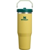 image:imageSTANLEY IceFlow 20 Flip Straw Tumbler with Handle 20 oz  Twist On Lid and Flip Up Straw  Leak Resistant Water Bottle  Insulated Stainless Steel  BPAFree  Stainless Steel AshDaffodil Emerald
