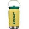 image:imageSTANLEY IceFlow 20 Flip Straw Tumbler with Handle 20 oz  Twist On Lid and Flip Up Straw  Leak Resistant Water Bottle  Insulated Stainless Steel  BPAFree  Stainless Steel AshDaffodil Emerald
