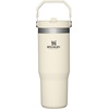 image:imageSTANLEY IceFlow 20 Flip Straw Tumbler with Handle 20 oz  Twist On Lid and Flip Up Straw  Leak Resistant Water Bottle  Insulated Stainless Steel  BPAFree  Stainless Steel AshCream