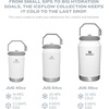 image:imageSTANLEY IceFlow 20 Flip Straw Tumbler with Handle 20 oz  Twist On Lid and Flip Up Straw  Leak Resistant Water Bottle  Insulated Stainless Steel  BPAFree  Stainless Steel AshAlpine
