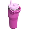 image:imageSTANLEY IceFlow 20 Flip Straw Tumbler with Handle 20 oz  Twist On Lid and Flip Up Straw  Leak Resistant Water Bottle  Insulated Stainless Steel  BPAFree  Stainless Steel AshDark Blossom