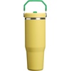 image:imageSTANLEY IceFlow 20 Flip Straw Tumbler with Handle 20 oz  Twist On Lid and Flip Up Straw  Leak Resistant Water Bottle  Insulated Stainless Steel  BPAFree  Stainless Steel AshTeam Yellow Green