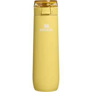 image:imageSTANLEY Flowstate Spring Bottle  Leakproof Water Bottle with Carry Strap amp FlipTop Locking Lid  Insulated Stainless Steel  Fits Most Cup Holders  BPAFree  20 oz  ChampagneDaffodil