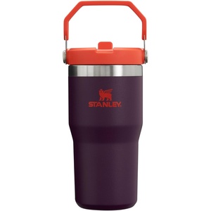 image:imageSTANLEY IceFlow 20 Flip Straw Tumbler with Handle 20 oz  Twist On Lid and Flip Up Straw  Leak Resistant Water Bottle  Insulated Stainless Steel  BPAFree  Stainless Steel AshPlum