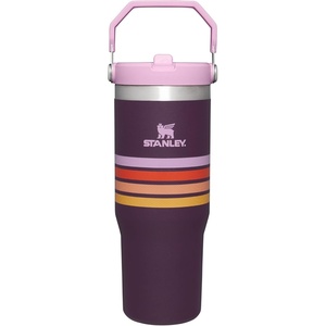 image:imageSTANLEY IceFlow 20 Flip Straw Tumbler with Handle 20 oz  Twist On Lid and Flip Up Straw  Leak Resistant Water Bottle  Insulated Stainless Steel  BPAFree  Stainless Steel AshPlum Stripe