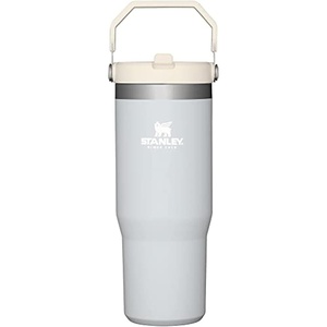 image:imageSTANLEY IceFlow 20 Flip Straw Tumbler with Handle 20 oz  Twist On Lid and Flip Up Straw  Leak Resistant Water Bottle  Insulated Stainless Steel  BPAFree  Stainless Steel AshCloud