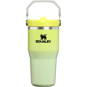 image:imageSTANLEY IceFlow 20 Flip Straw Tumbler with Handle 20 oz  Twist On Lid and Flip Up Straw  Leak Resistant Water Bottle  Insulated Stainless Steel  BPAFree  Stainless Steel AshAtomic Gradient