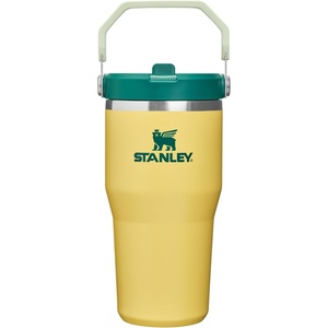 image:imageSTANLEY IceFlow 20 Flip Straw Tumbler with Handle 20 oz  Twist On Lid and Flip Up Straw  Leak Resistant Water Bottle  Insulated Stainless Steel  BPAFree  Stainless Steel AshDaffodil Emerald
