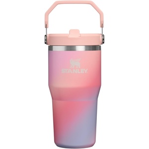 image:imageSTANLEY IceFlow 20 Flip Straw Tumbler with Handle 20 oz  Twist On Lid and Flip Up Straw  Leak Resistant Water Bottle  Insulated Stainless Steel  BPAFree  Stainless Steel AshSunset Spiral