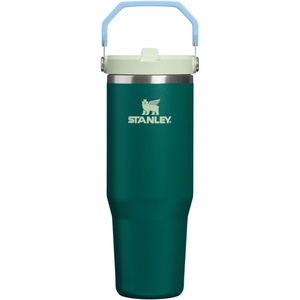 image:imageSTANLEY IceFlow 20 Flip Straw Tumbler with Handle 20 oz  Twist On Lid and Flip Up Straw  Leak Resistant Water Bottle  Insulated Stainless Steel  BPAFree  Stainless Steel AshHoneydew Garden