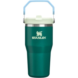 image:imageSTANLEY IceFlow 20 Flip Straw Tumbler with Handle 20 oz  Twist On Lid and Flip Up Straw  Leak Resistant Water Bottle  Insulated Stainless Steel  BPAFree  Stainless Steel AshEmerald Honeydew