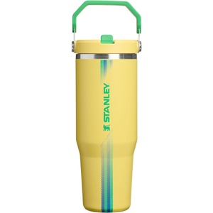 image:imageSTANLEY IceFlow 20 Flip Straw Tumbler with Handle 20 oz  Twist On Lid and Flip Up Straw  Leak Resistant Water Bottle  Insulated Stainless Steel  BPAFree  Stainless Steel AshTeam Yellow Green
