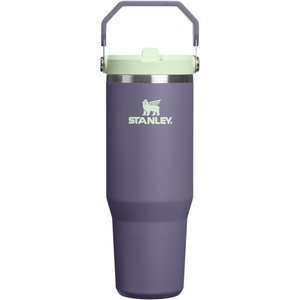 image:imageSTANLEY IceFlow 20 Flip Straw Tumbler with Handle 20 oz  Twist On Lid and Flip Up Straw  Leak Resistant Water Bottle  Insulated Stainless Steel  BPAFree  Stainless Steel AshPurple Umbra